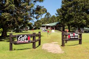 Tourism Darling Downs, Bunya Mountains Accommodation Centre, Motels/Hotels, Weddings, Conferences
