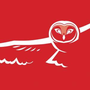 Owl Tree Marketing Logo