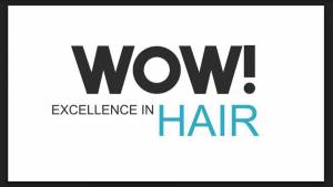 WOW Excellence in Hair Logo