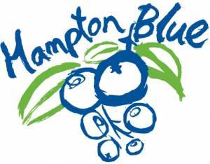 Hampton Blue Logo